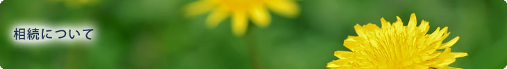 相続について